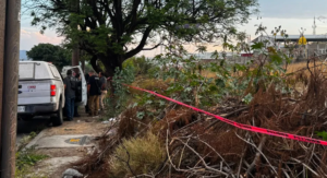 ¡Jalisco es un cementerio naranja! Perros devoran cadáver en el olvido total