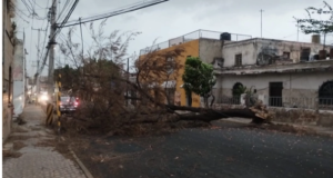 Lluvias paralizan Guadalajara y exhiben falta de preparación rumbo al Mundial 2026