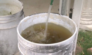 Agua negra y con mal olor: la crisis que Movimiento Ciudadano no puede resolver en Guadalajara